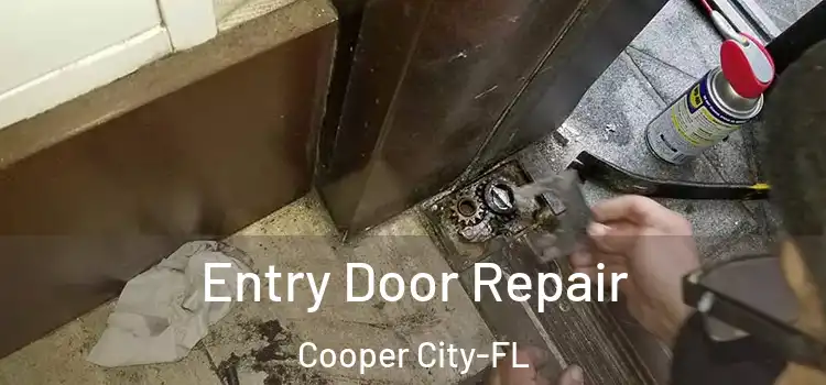  Entry Door Repair Cooper City-FL