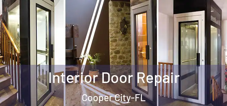 Interior Door Repair Cooper City-FL